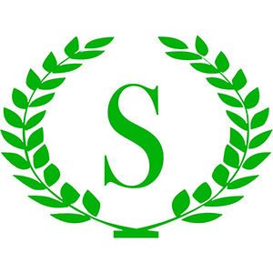 Sony International Travels Ltd